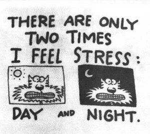 stress_